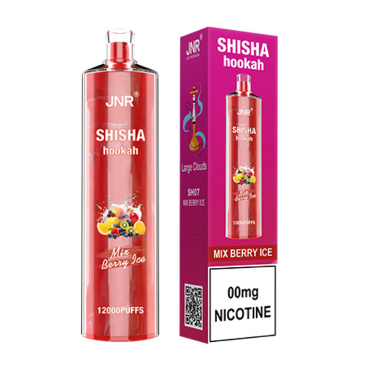 Pod Shisha Hookah JNR 12000 I Mix de Baies Ice